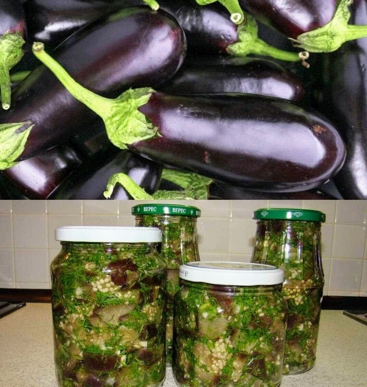 БАКЛАЖАНЫ НЕ ХУЖЕ ГРИБОВ