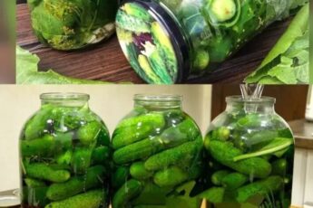 МАРИНОВАННЫЕ ОГУРЦЫ ПО ПРОВЕРЕННОМУ МНОГОЛЕТНЕМУ РЕЦЕПТУ Очень вкусно, рекомендую