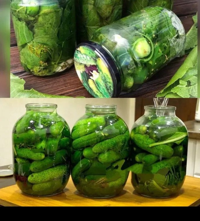 МАРИНОВАННЫЕ ОГУРЦЫ ПО ПРОВЕРЕННОМУ МНОГОЛЕТНЕМУ РЕЦЕПТУ Очень вкусно, рекомендую МАРИНОВАННЫЕ ОГУРЦЫ ПО ПРОВЕРЕННОМУ МНОГОЛЕТНЕМУ РЕЦЕПТУ Очень вкусно, рекомендую