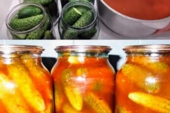 МАРИНОВАННЫЕ ОГУРЦЫ С КЕТЧУПОМ