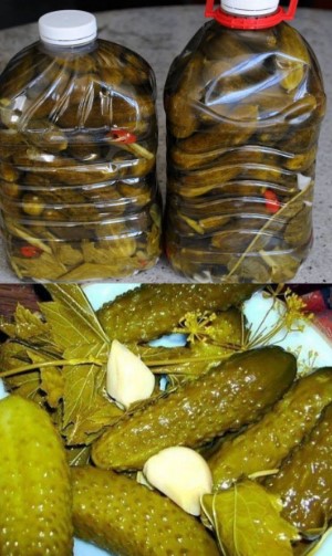 СОЛЁНЫЕ ОГУРЦЫ В 5-ТИ ЛИТРОВЫХ ПЛАСТИКОВЫХ БУТЫЛКАХ. Получаются как настоящие бочковые