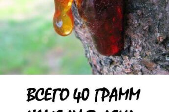 Всего 40 г камеди в день, и по врачам ходить больше не придется.