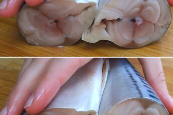 Забудь про жареную рыбу! Подруга из Кореи раскрыла секрет вкусной, бюджетной скумбрии — просто, быстро и без капли жира! 🐟💥 Теперь готовлю только так — пальчики оближешь!