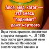 Алое, мед, кагор — эта смесь “поднимет” даже мертвого