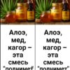 Алое, мед, кагор — эта смесь “поднимет” даже мертвого