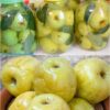Резкие и вкусные моченые яблочки на меду. Даже до нового года "не дотягивают" - всё съедается.