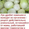 Лук дробит камешки и выводит из организма : рецепт действительно уникальный, оставшийся от мамы, работавшей врачом-гомеопатом в Московской Кремлевской больнице.