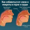 Как избавиться от слизи и мокроты в горле и груди, чтобы свободно дышать