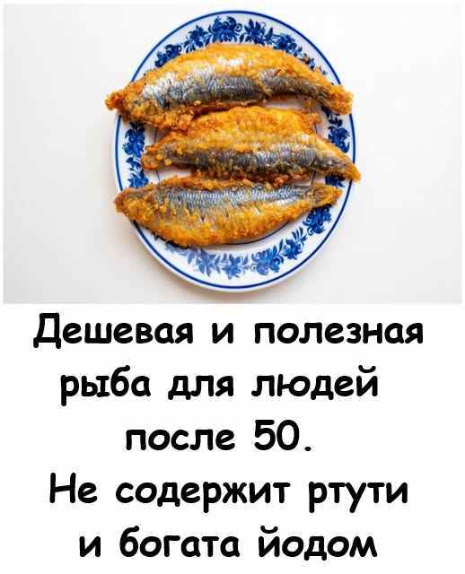 Дешёвая и полезная рыба 🦈для людей после 50 ❤️. Не содержит ртути и богата йодом. Дешёвая и полезная рыба 🦈для людей после 50 ❤️. Не содержит ртути и богата йодом.