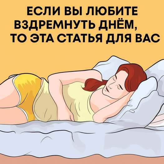 Если вы любите вздремнуть днём, то эта статья для вас Если вы любите вздремнуть днём, то эта статья для вас