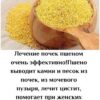 Лечение почек пшеном очень эффективно! Пшено выводит камни и песок из почек, из мочевого пузыря, лечит цистит, помогает при женских заболеваниях.