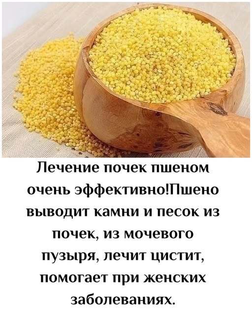 Лечение почек пшеном очень эффективно! Пшено выводит камни и песок из почек, из мочевого пузыря, лечит цистит, помогает при женских заболеваниях. Лечение почек пшеном очень эффективно! Пшено выводит камни и песок из почек, из мочевого пузыря, лечит цистит, помогает при женских заболеваниях.