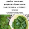 ПОЖИЛЫЕ ЛЮДИ !!: Этот 1 Лист снижает диабет, давление, устраняет боли в теле, холестерин и устраняет плохое кровообращение.