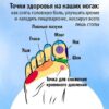 Точки здоровья на наших ногах. Как снять головную боль, улучшить зрение и наладить пищеварение, массируя всего лишь стопы