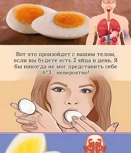 Что на самом деле происходит, если есть по 2 яйца каждый день? Что на самом деле происходит, если есть по 2 яйца каждый день?