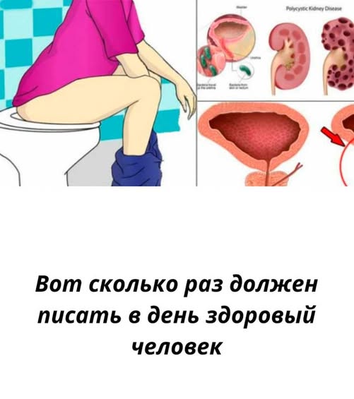 Да, оказывается, это говорит о состоянии организма гораздо больше, чем мы привыкли думать… Да, оказывается, это говорит о состоянии организма гораздо больше, чем мы привыкли думать…