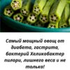 Этот овощ укрепляет иммунитет, снижает сахар и холестерин, улучшает зрение, защищает желудок от гастрита и омолаживает организм. Натуральная польза для здоровья и энергии!