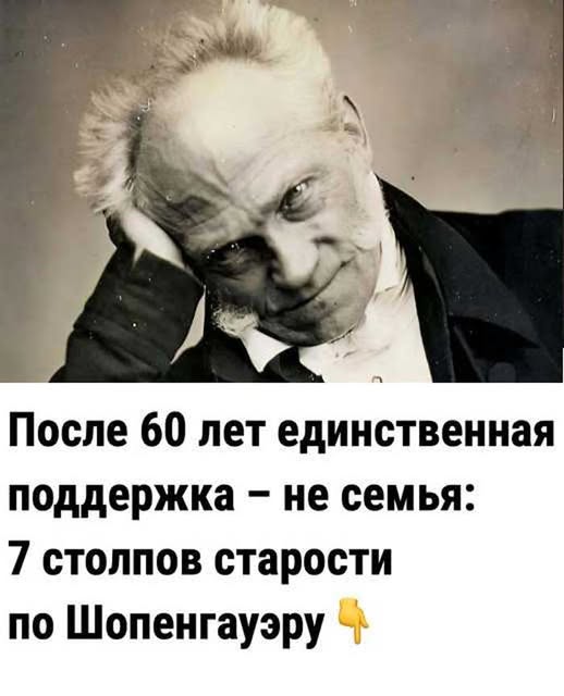 Старость — это свобода»: мудрость Шопенгауэра, которая перевернёт ваше отношение к жизни Старость — это свобода»: мудрость Шопенгауэра, которая перевернёт ваше отношение к жизни