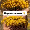 В 40 лет поставили мне диагноз - цирроз печени. Готовиться к смерти стала, да один древний дед меня спас и теперь ни одна болезнь меня не берёт, да и семейство своё я вылечила. Тётушку тоже от этого спасла. Вот какой рецепт дед тот древний мне дал: "Берёшь 3 столовые ложки…