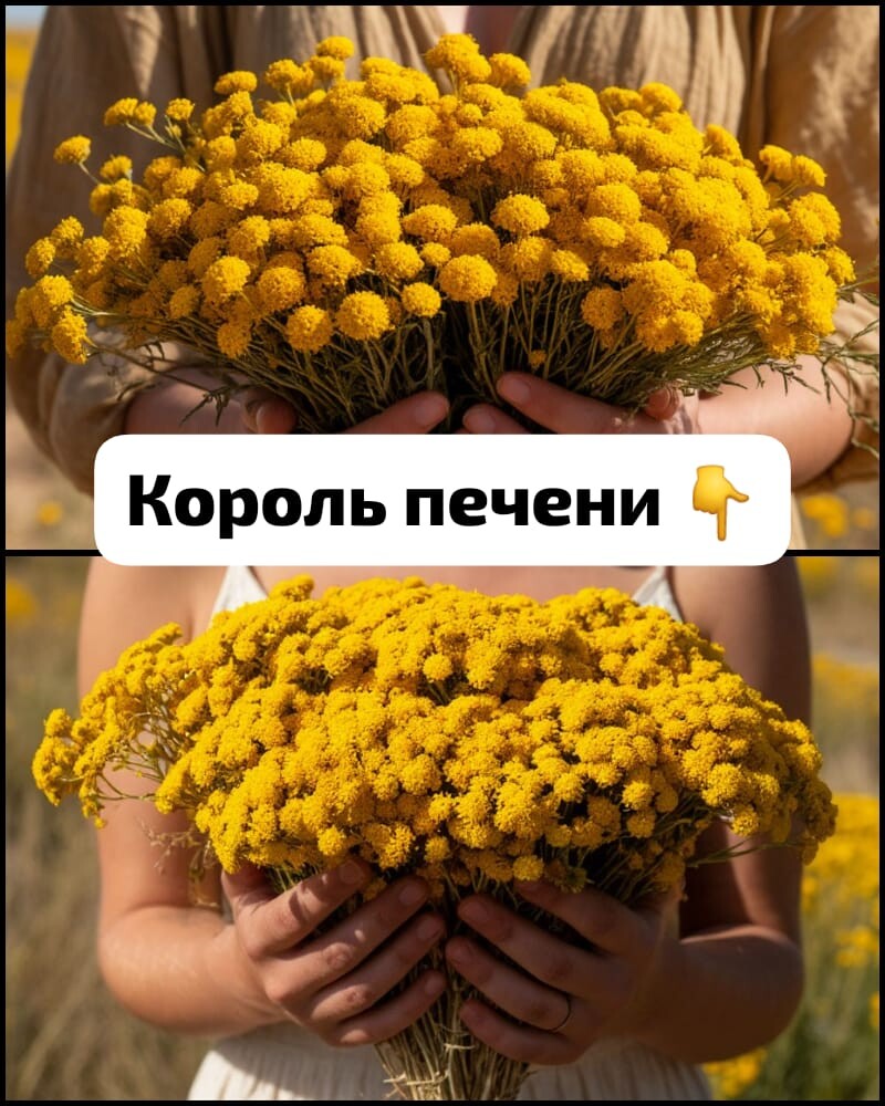 В 40 лет поставили мне диагноз - цирроз печени. Готовиться к смерти стала, да один древний дед меня спас и теперь ни одна болезнь меня не берёт, да и семейство своё я вылечила. Тётушку тоже от этого спасла. Вот какой рецепт дед тот древний мне дал: "Берёшь 3 столовые ложки…
