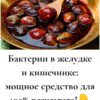 Бактерии в желудке и кишечнике: мощное средство для 100% результата!