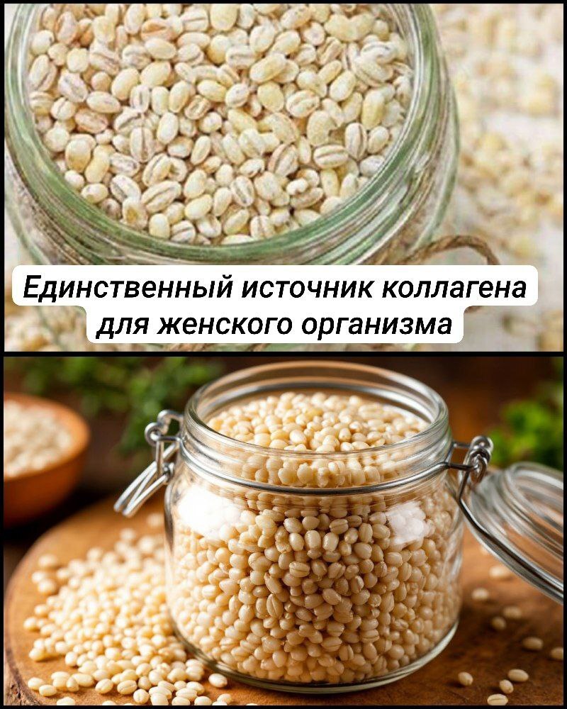 Единственная крупа — богатейший источник коллагена для омоложения женского организма Единственная крупа — богатейший источник коллагена для омоложения женского организма
