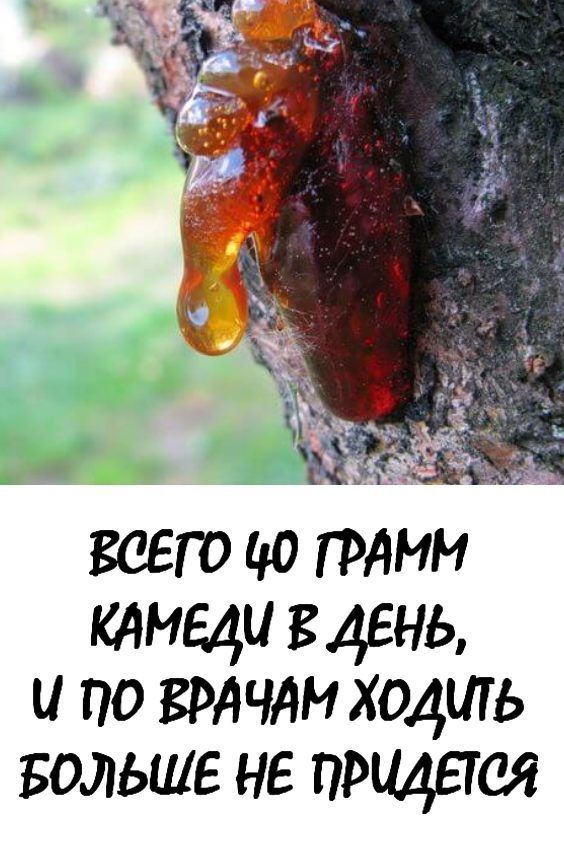 Этим лечились наши предки! Природное чудо, которое исцелит от множества болезней Этим лечились наши предки! Природное чудо, которое исцелит от множества болезней