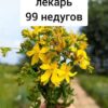 Лекарь 99 недугов!
