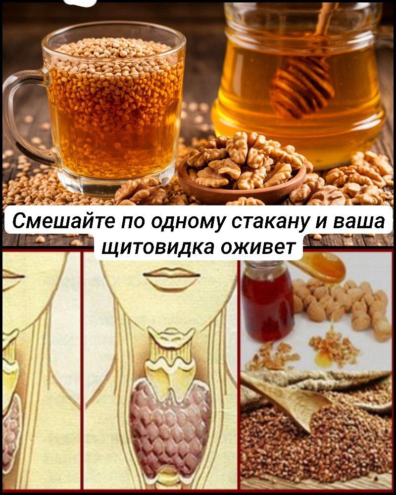 Смешайте по одному стакану гречневой крупы, грецких орехов и меда, и ваша щитовидка оживет Смешайте по одному стакану гречневой крупы, грецких орехов и меда, и ваша щитовидка оживет