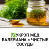 УКРОП МЁД ВАЛЕРИАНА = ЧИСТЫЕ СОСУДЫ