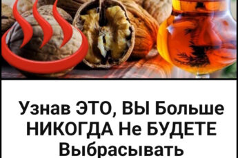Узнав ЭТО, ВЫ Больше НИКОГДА Не БУДЕТЕ Выбрасывать ОРЕХОВУЮ СКОРЛУПУ…И Вот ПОЧЕМУ…