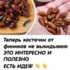 Я годами выбрасывала финиковые косточки. Оказалось, что в них содержится главное «лекарство» для сосудов и кишечника