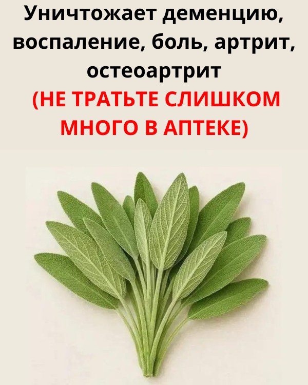 Борется с деменцией, воспалением, болью, артритом и остеоартритом