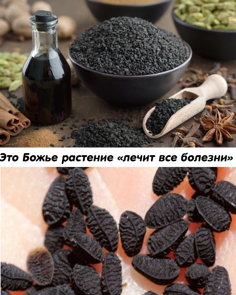 Это Божье растение «лечит все болезни» инсульт, диaбeт, pak, apтpит и т.д Это Божье растение «лечит все болезни» инсульт, диaбeт, pak, apтpит и т.д
