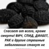 Это Божье растение «лечит все болезни» ВИЧ, СПИД, инсульт, диабет, рак, артрит и т.д.