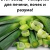 Этот овощ — настоящее лекарство для печени, почек и даже разума! 🧠✨ Он наполнен витаминами, минералами и антиоксидантами — очищает, защищает и восстанавливает организм.