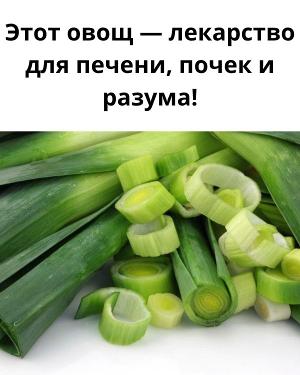 Этот овощ — настоящее лекарство для печени, почек и даже разума! 🧠✨ Он наполнен витаминами, минералами и антиоксидантами — очищает, защищает и восстанавливает организм. Этот овощ — настоящее лекарство для печени, почек и даже разума! 🧠✨ Он наполнен витаминами, минералами и антиоксидантами — очищает, защищает и восстанавливает организм.