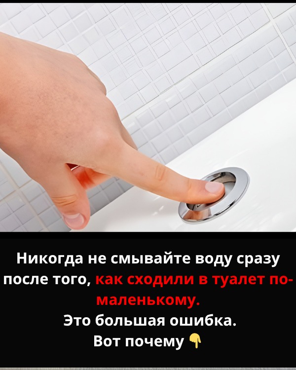 Почему так важно не смывать воду после каждого похода в туалет «по-маленькому» Почему так важно не смывать воду после каждого похода в туалет «по-маленькому»