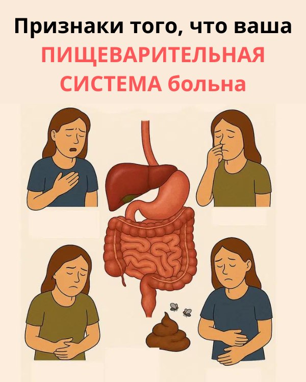 Признаки того, что ваша пищеварительная система больна... 