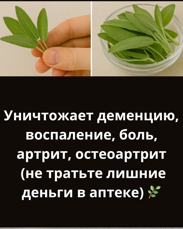Уничтожает деменцию, воспаление, боль, артрит, остеоартрит (не тратьте больше в аптеке) Уничтожает деменцию, воспаление, боль, артрит, остеоартрит (не тратьте больше в аптеке)
