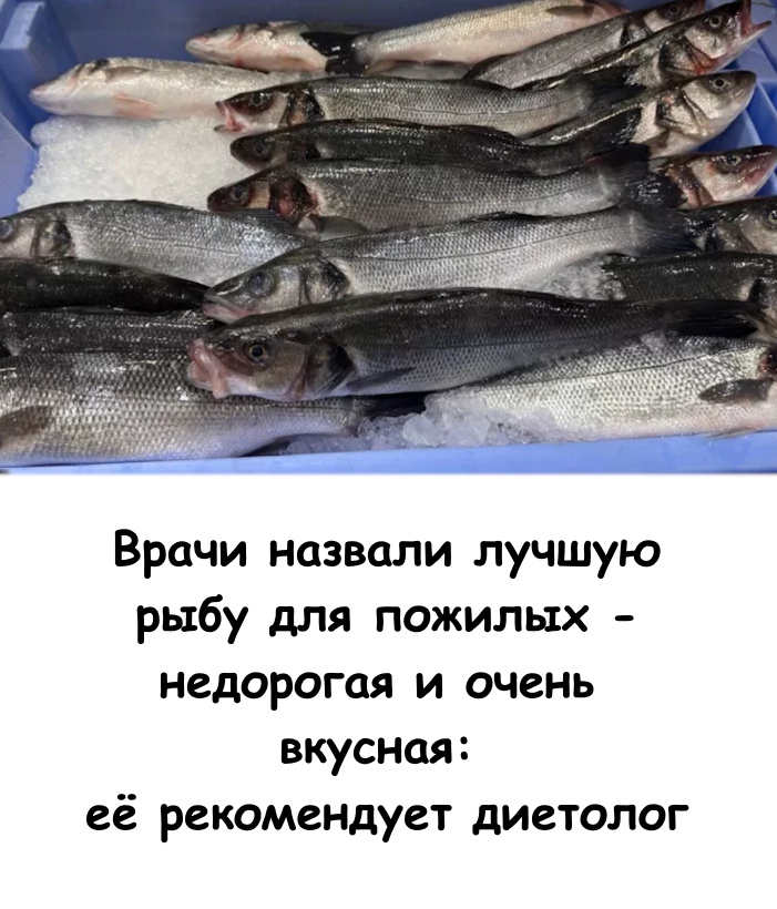 Врачи назвали лучшую рыбу для пожилых — недорогая и очень вкусная: ее рекомендует диетолог. Врачи назвали лучшую рыбу для пожилых — недорогая и очень вкусная: ее рекомендует диетолог.