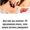 "Узнайте, как понять, что печень нуждается в помощи, какие симптомы тревожные и как естественно очистить и восстановить её здоровье с помощью питания и трав."