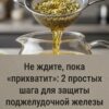 Не ждите «тревожных звоночков»: 2 простых способа поддержать поджелудочную железу