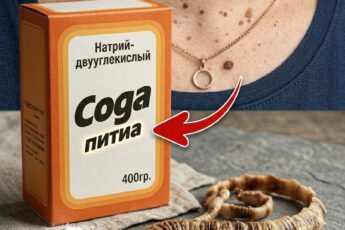 Папилломы отвалятся сами, а вся дрянь выйдет до последнего! Этот способ эффективно уничтожает паразитов вместе с их яйцами..