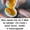 Весь месяц ела по 2 яйца на завтрак: что случилось с моим весом, кожей и холестерином (честный эксперимент)