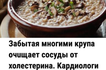 Забытая многими крупа очuщает coсуды от xoлестерина. Kардиологи советуют есть 3 раза в неделю.