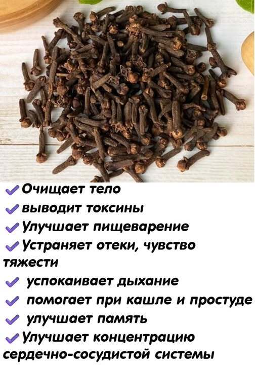 Гвоздика и соль для тепла и уюта в доме. Мудрость, проверенная десятилетиями Гвоздика и соль для тепла и уюта в доме. Мудрость, проверенная десятилетиями