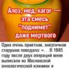 Алое, мед, кагор — эта смесь “поднимет” даже мертвого