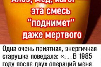Алое, мед, кагор — эта смесь “поднимет” даже мертвого