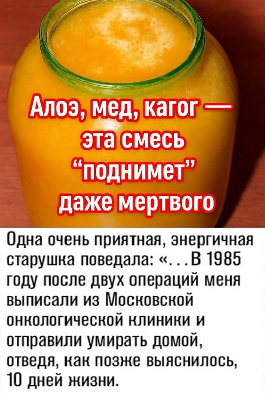 Алое, мед, кагор — эта смесь “поднимет” даже мертвого Алое, мед, кагор — эта смесь “поднимет” даже мертвого